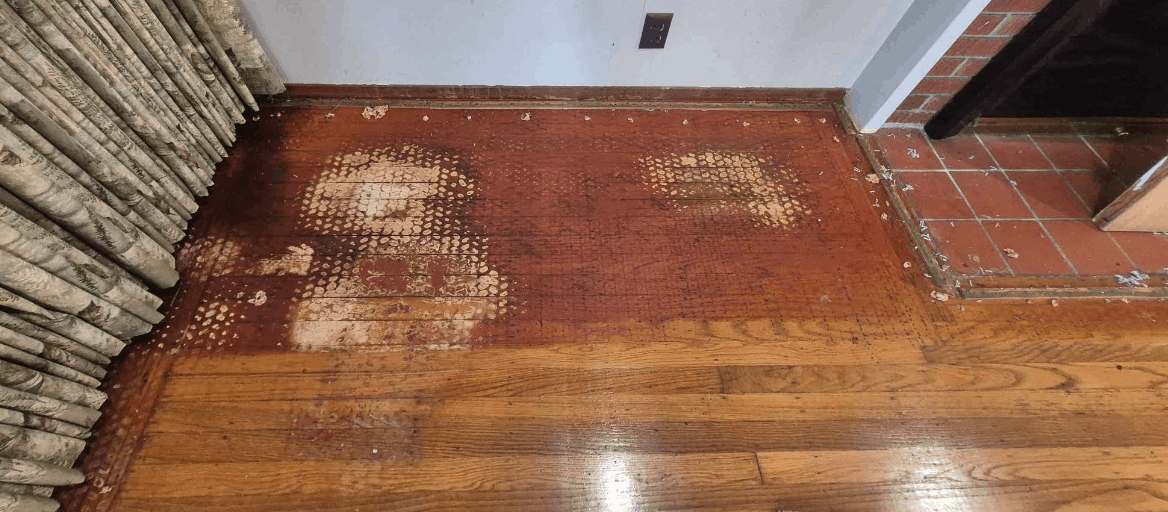Hardwood floor discovered under carpet Mountain View CA